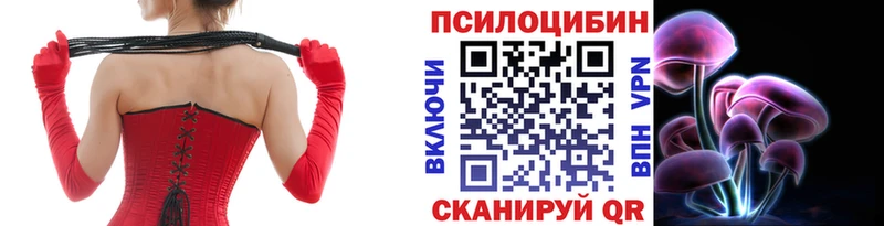 ссылка на мегу онион  Ясный  Галлюциногенные грибы мицелий 